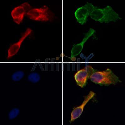 Валидация Affinity AF5132 - 2514