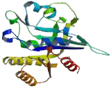 Glucocorticoid Receptor DNA Binding Factor 1 (GRLF1) Glucocorticoid Receptor DNA Binding Factor 1 (GRLF1)