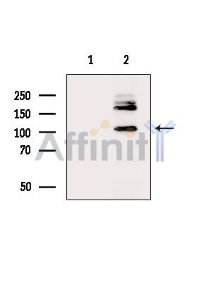 Валидация Affinity DF4683 - 16354