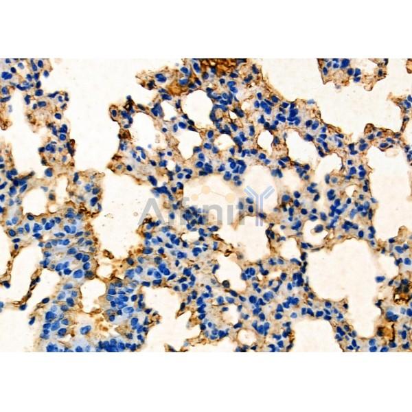 Валидация Affinity DF7918 - 19748