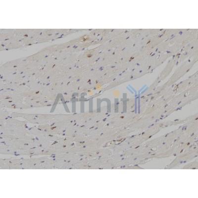 Валидация Affinity DF3220 - 14044