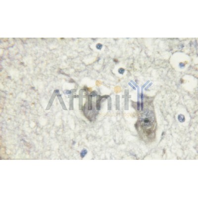 Валидация Affinity AF6463 - 3788