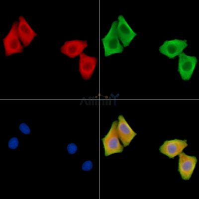 Валидация Affinity DF9400 - 21943