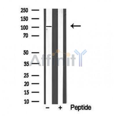Валидация Affinity DF10360 - 5984