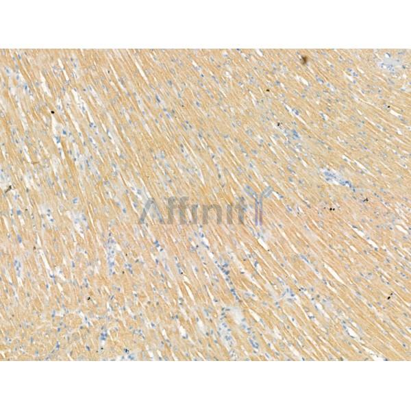 Валидация Affinity DF13297 - 8433