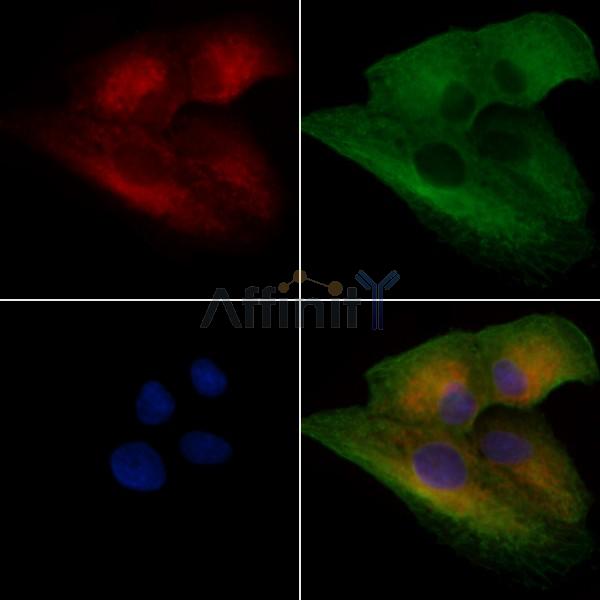 Валидация Affinity DF3715 - 14767