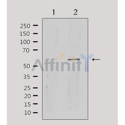 Валидация Affinity DF3573 - 14526