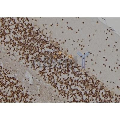 Валидация Affinity AF6084 - 3288