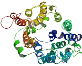 G Protein Coupled Receptor 172B (GPR172B) G Protein Coupled Receptor 172B (GPR172B)