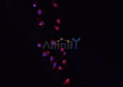 Валидация Affinity DF6579 - 18017