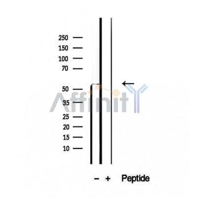 Валидация Affinity DF12448 - 6978