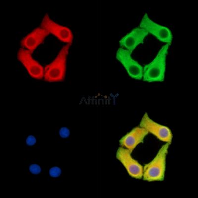 Валидация Affinity DF14704 - 10766