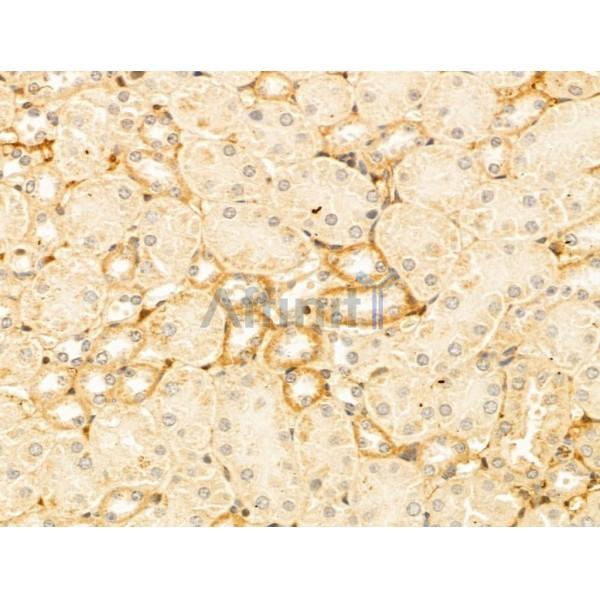 Валидация Affinity DF13023 - 7833