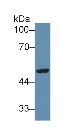 9287