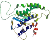 G Protein Coupled Receptor 45 (GPR45) G Protein Coupled Receptor 45 (GPR45)