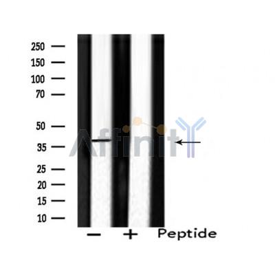 Валидация Affinity DF4458 - 15978