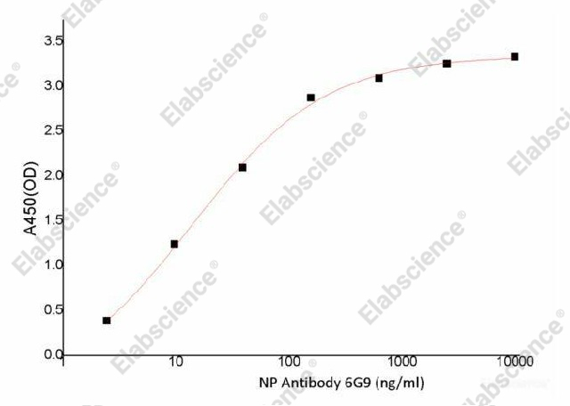 ELISA, SARS-CoV-2 Nucleocapsid Protein, рекомбинантный белок