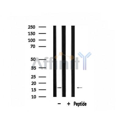 Валидация Affinity DF3659 - 14656