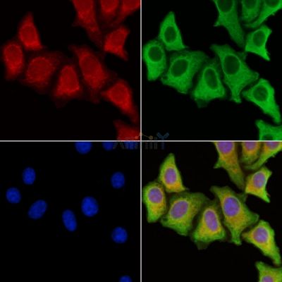 Валидация Affinity AF7537 - 4192