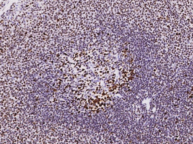 Валидация AssayVector ARM1123(344)