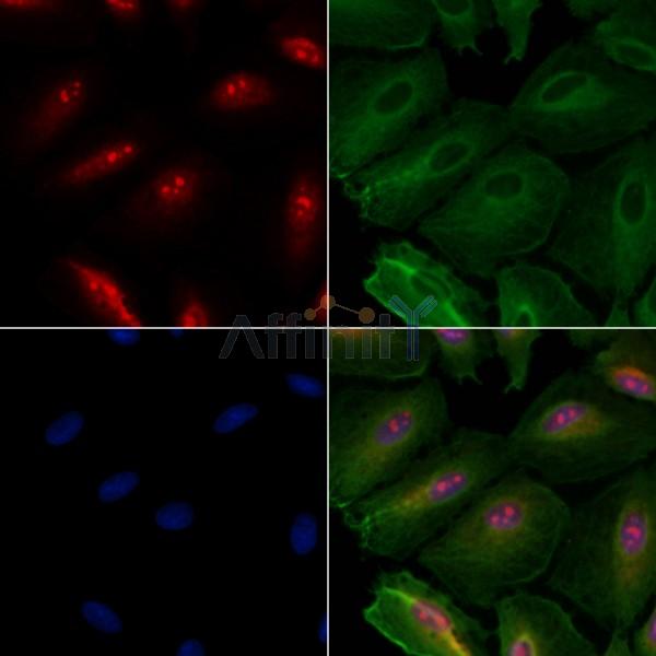 Валидация Affinity DF9872 - 22810