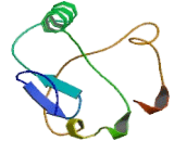 Killer Cell Lectin Like Receptor Subfamily G, Member 1 (KLRG1) Killer Cell Lectin Like Receptor Subfamily G, Member 1 (KLRG1)