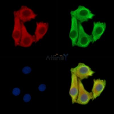 Валидация Affinity DF13908 - 9644