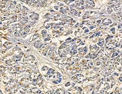 Валидация Affinity DF13774 - 9438