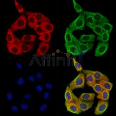 Валидация Affinity DF13313 - 8471