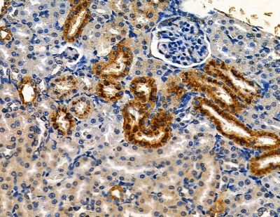 Валидация Affinity DF14074 - 9859