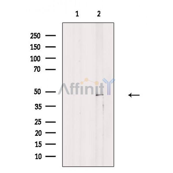 Валидация Affinity DF10033 - 5483