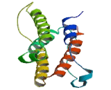 Interferon Alpha 6 (IFNa6) Interferon Alpha 6 (IFNa6)