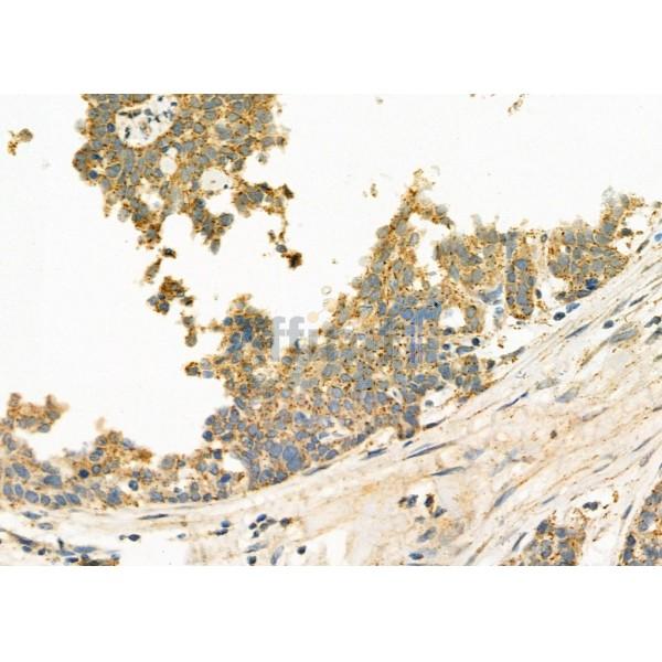 Валидация Affinity DF3721 - 14776