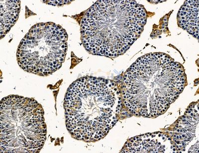 Валидация Affinity DF14624 - 10649