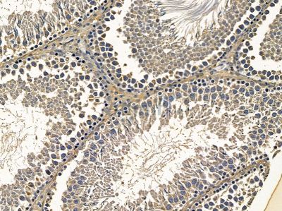 Валидация Affinity DF14398 - 10327