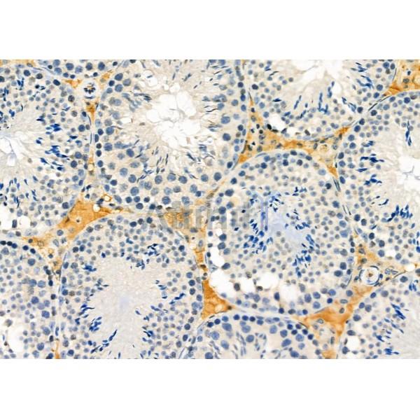 Валидация Affinity DF12268 - 6601