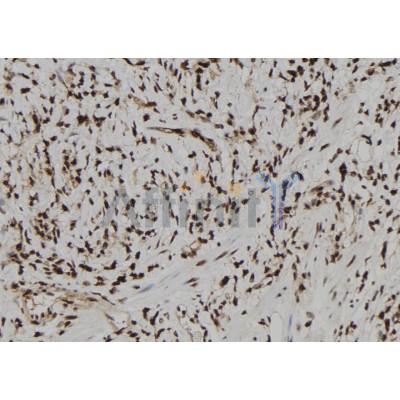 Валидация Affinity DF12336 - 6757