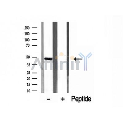 Валидация Affinity DF12199 - 6446