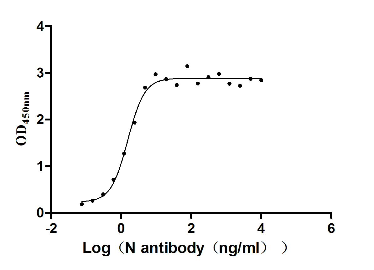 Функциональный ИФА: связывание рекомбинантного антитела к белку N