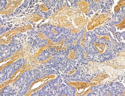 Валидация Affinity DF14754 - 10840