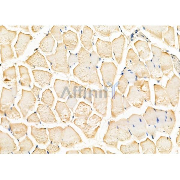 Валидация Affinity DF8121 - 19972