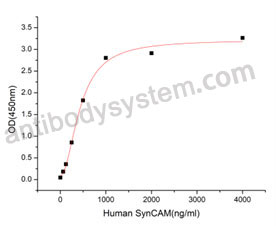 Валидация активности AntibodySystem AHN06201