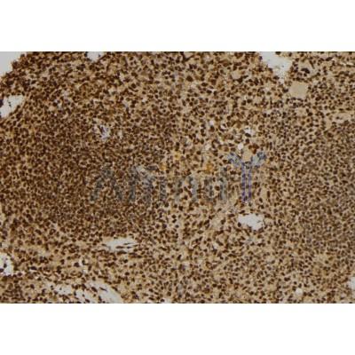 Валидация Affinity DF6108 - 17324