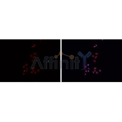 Валидация Affinity DF6475 - 17867