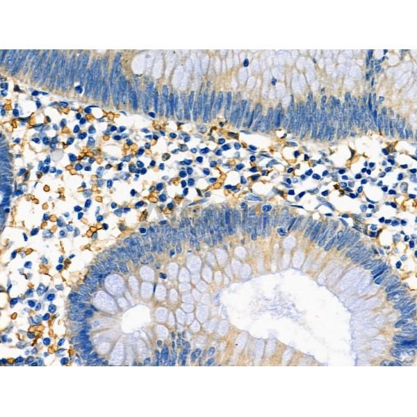 Валидация Affinity DF6475 - 17866