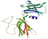 Myeloproliferative Leukemia Virus Oncogene (MPL)