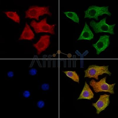 Валидация Affinity AF6266 - 3520