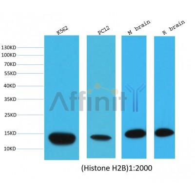 Валидация Affinity BF0722 - 5393