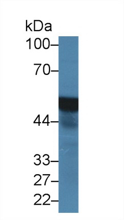14343