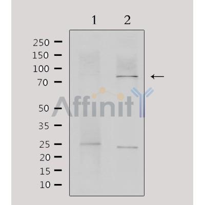 Валидация Affinity DF3258 - 14106